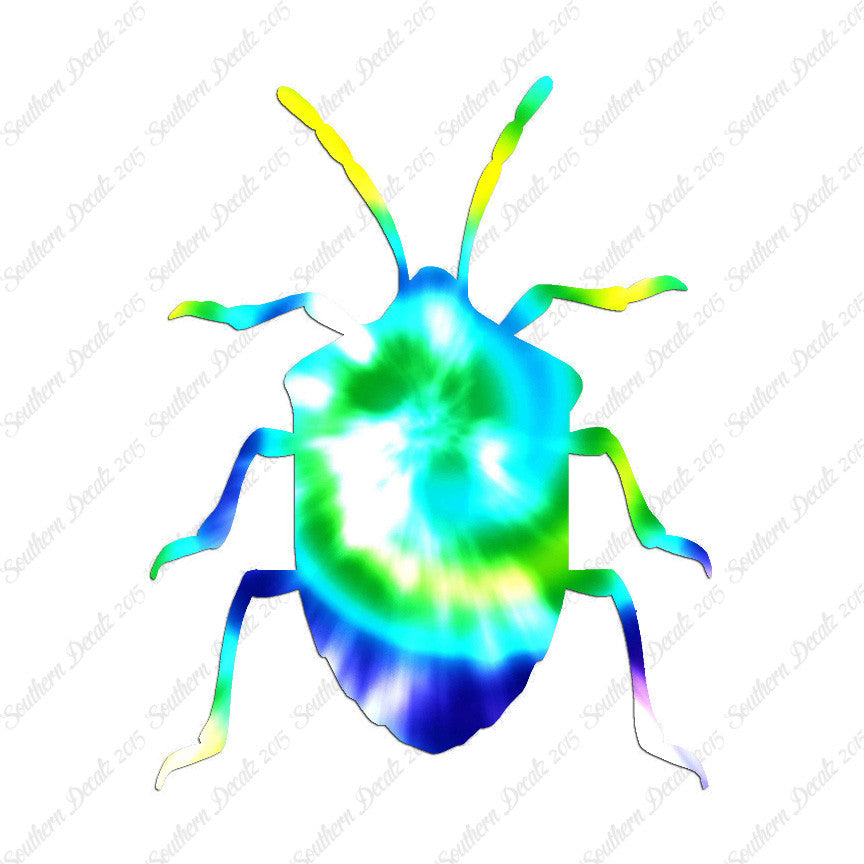 Ground Beetle Insect