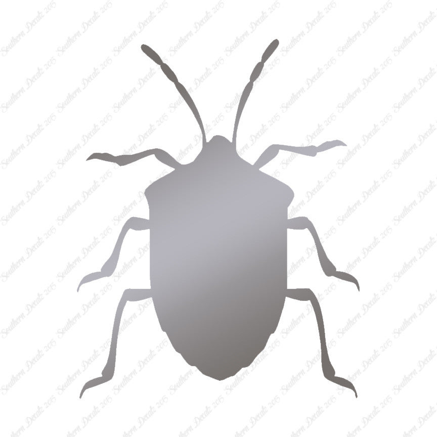 Ground Beetle Insect