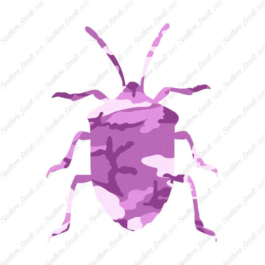Ground Beetle Insect
