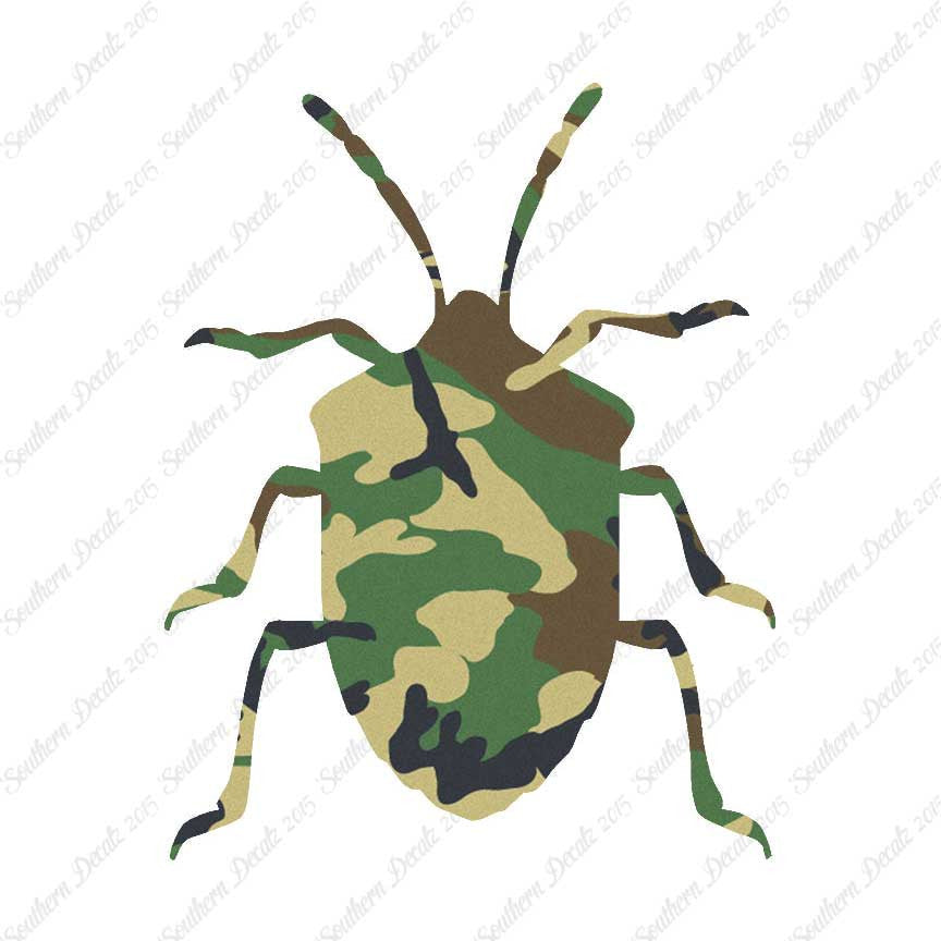Ground Beetle Insect
