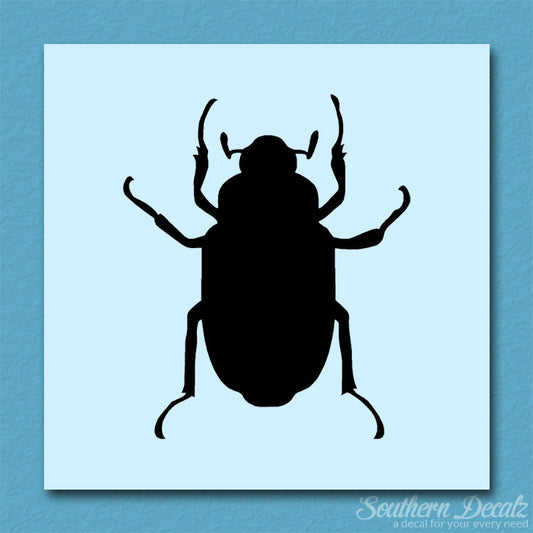 Water Beetle Junebug Insect