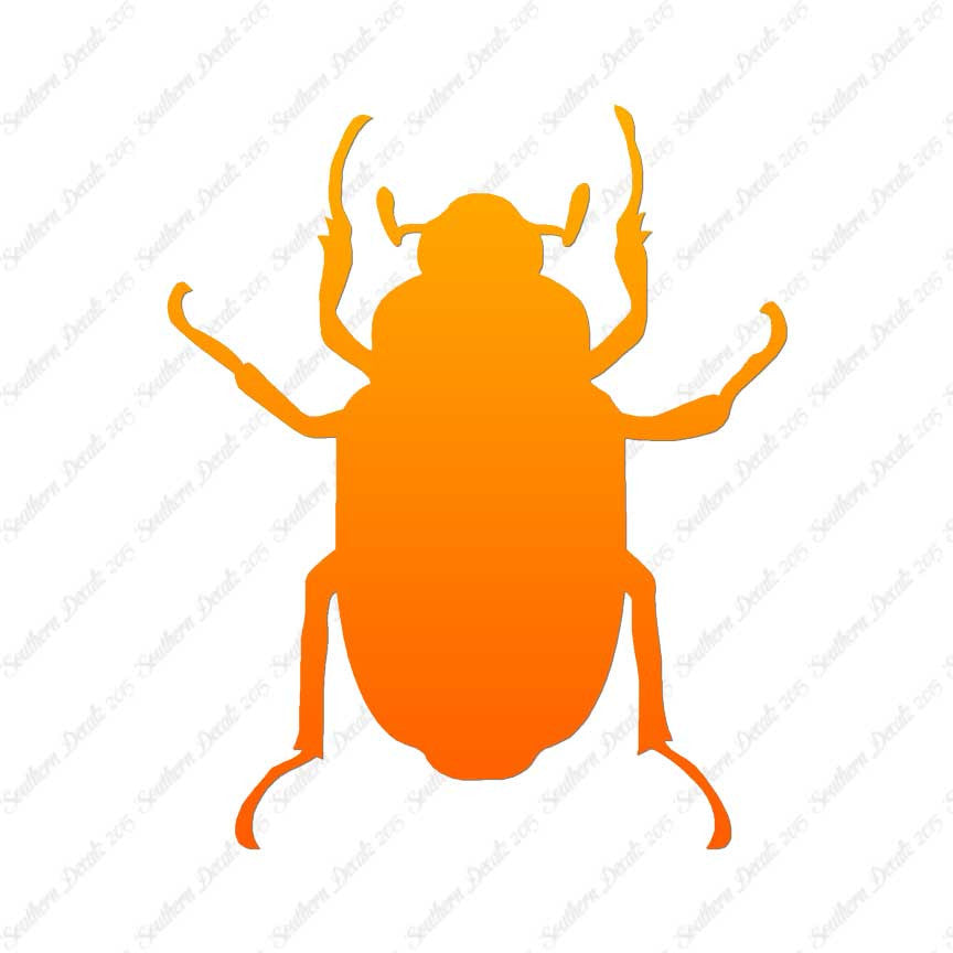 Water Beetle Junebug Insect