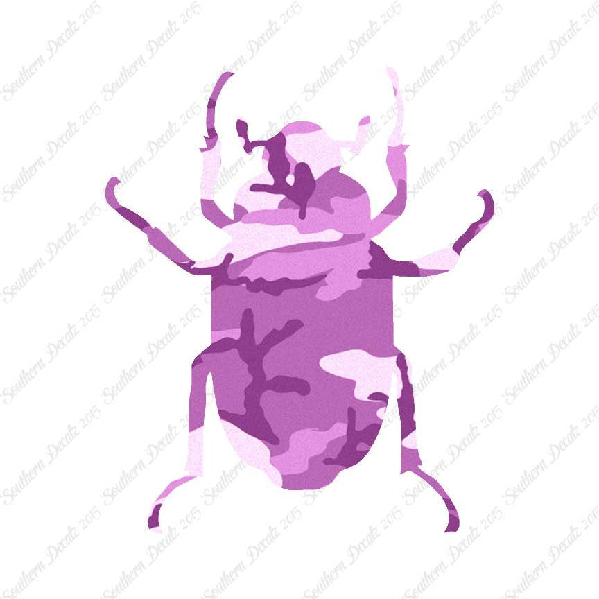 Water Beetle Junebug Insect