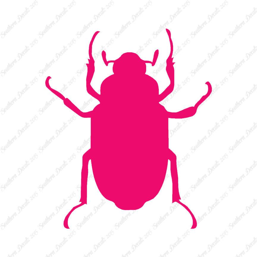 Water Beetle Junebug Insect