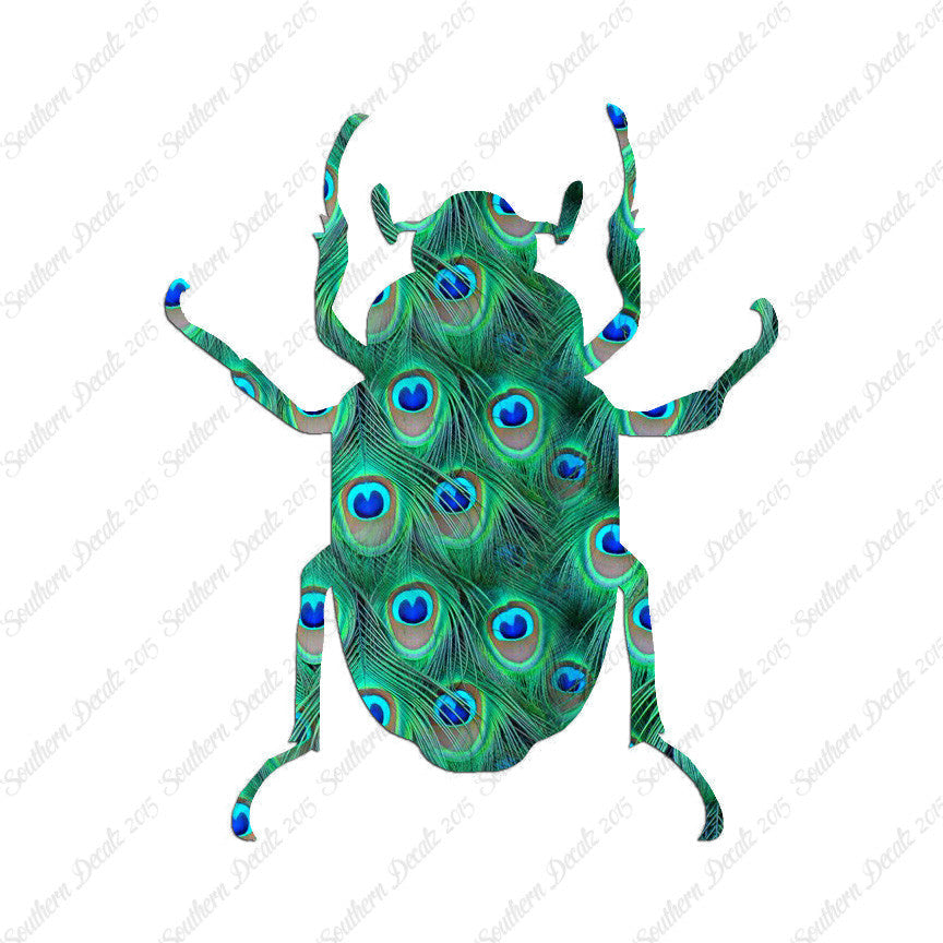 Water Beetle Junebug Insect