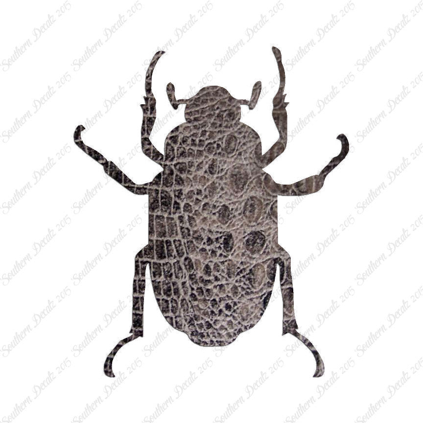 Water Beetle Junebug Insect