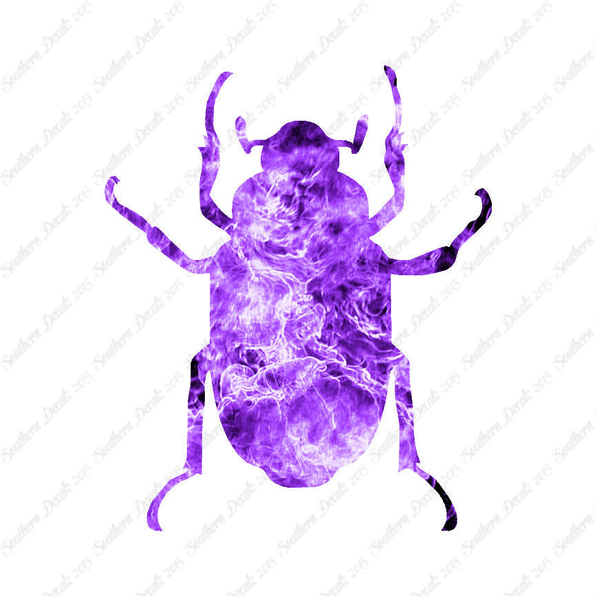 Water Beetle Junebug Insect