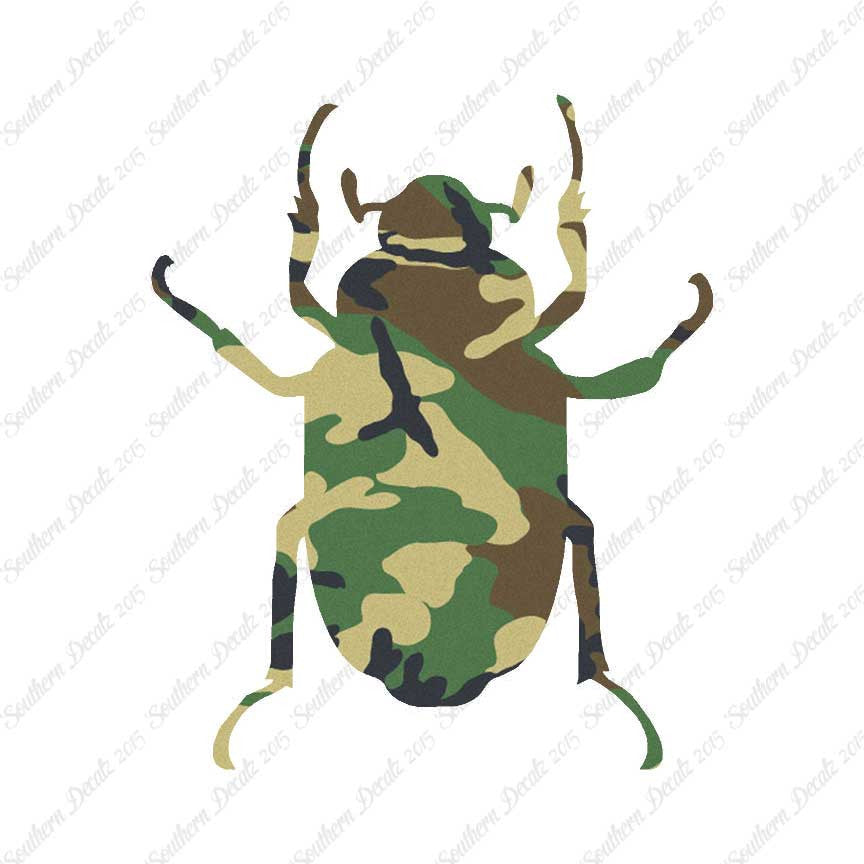 Water Beetle Junebug Insect