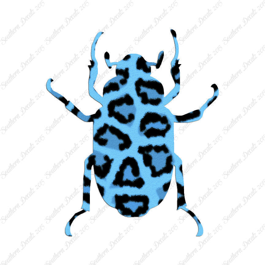 Water Beetle Junebug Insect