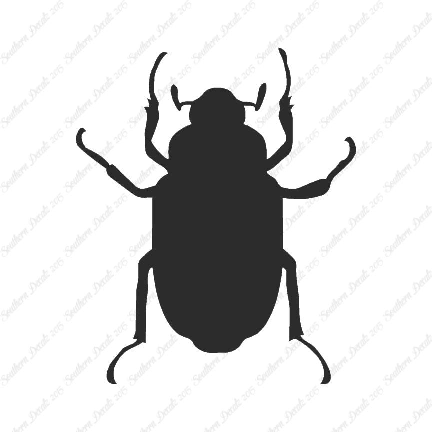Water Beetle Junebug Insect
