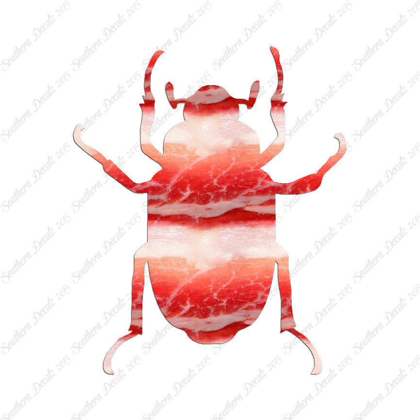 Water Beetle Junebug Insect