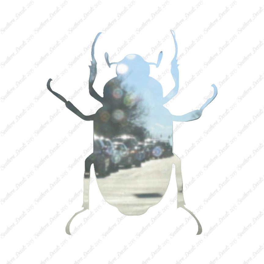 Water Beetle Junebug Insect