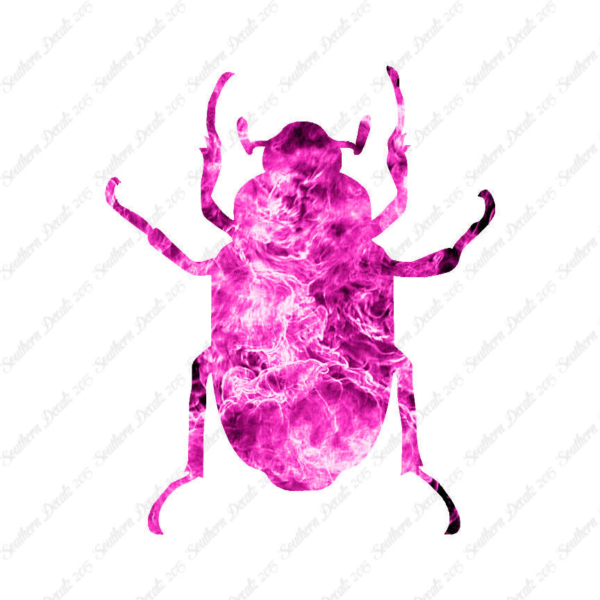 Water Beetle Junebug Insect