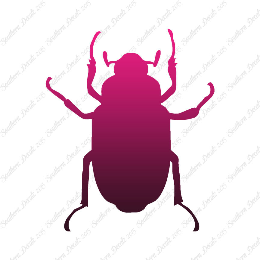 Water Beetle Junebug Insect