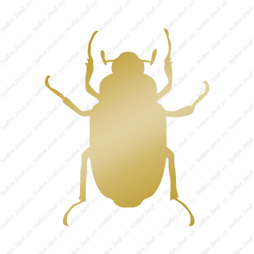 Water Beetle Junebug Insect
