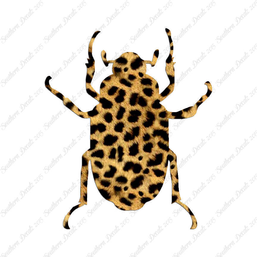 Water Beetle Junebug Insect