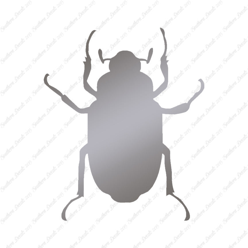 Water Beetle Junebug Insect