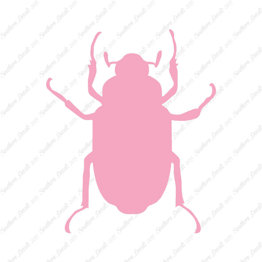 Water Beetle Junebug Insect