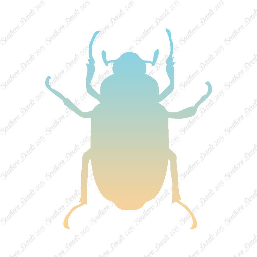 Water Beetle Junebug Insect
