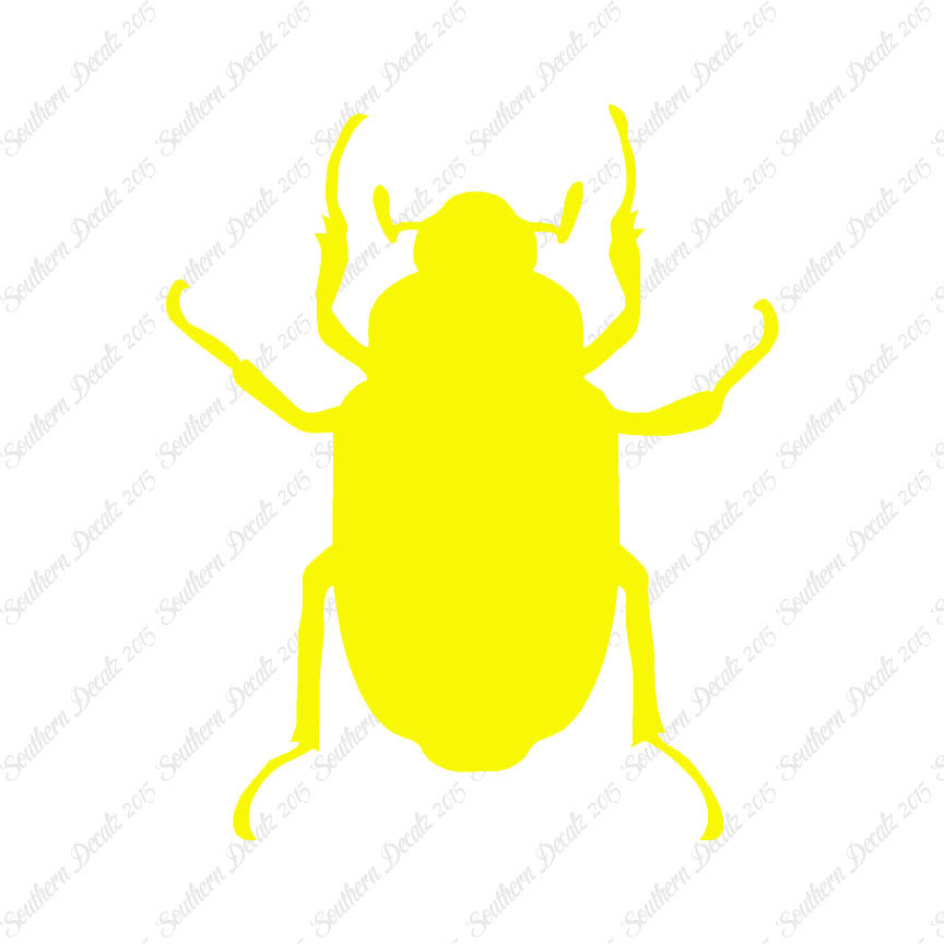 Water Beetle Junebug Insect