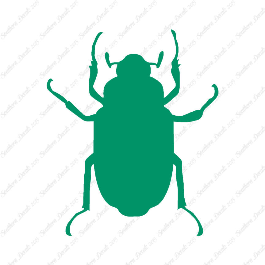 Water Beetle Junebug Insect