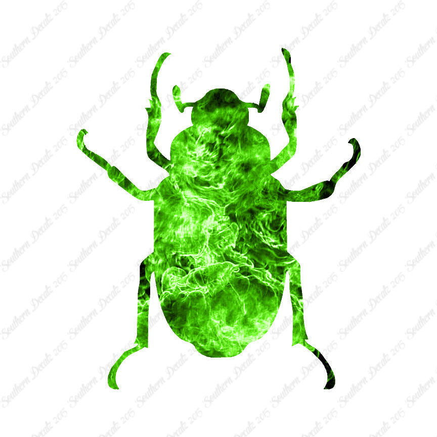 Water Beetle Junebug Insect