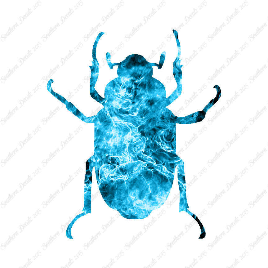 Water Beetle Junebug Insect