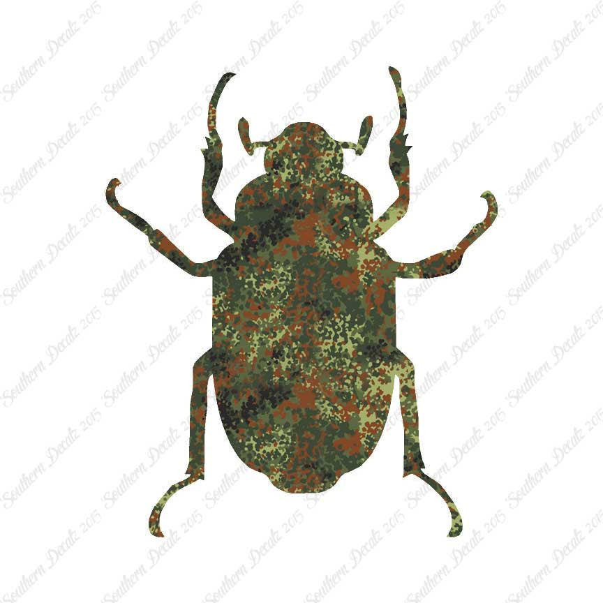 Water Beetle Junebug Insect