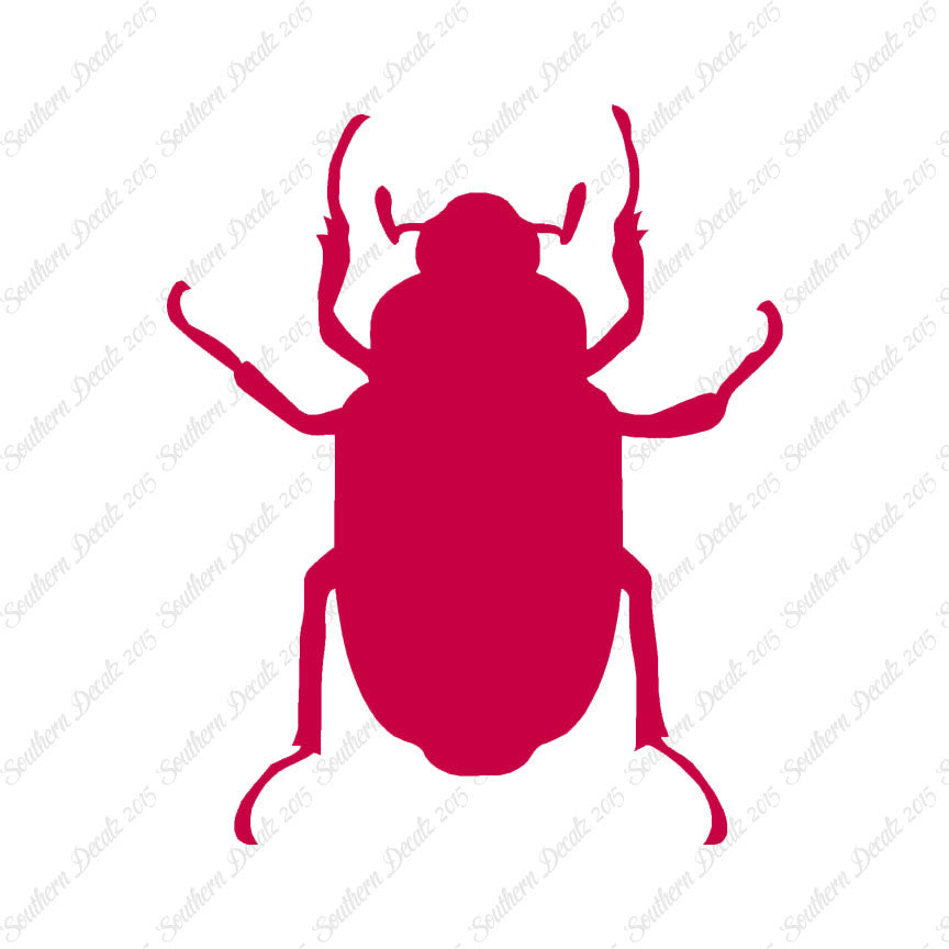 Water Beetle Junebug Insect