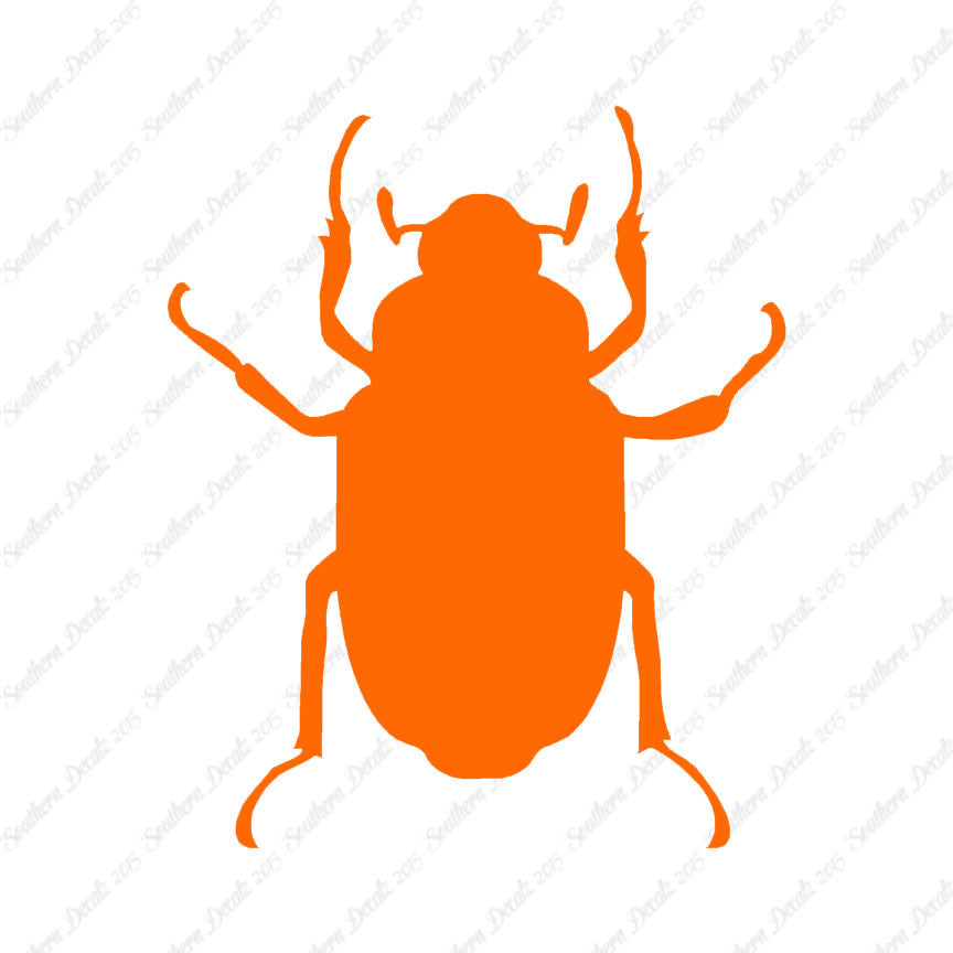 Water Beetle Junebug Insect