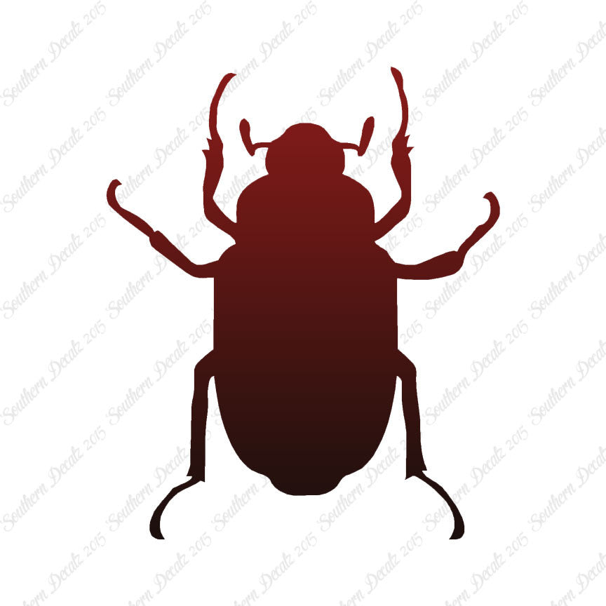 Water Beetle Junebug Insect