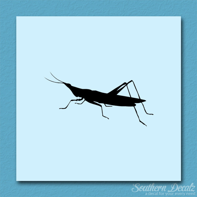Grasshopper Insect