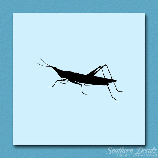 Grasshopper Insect