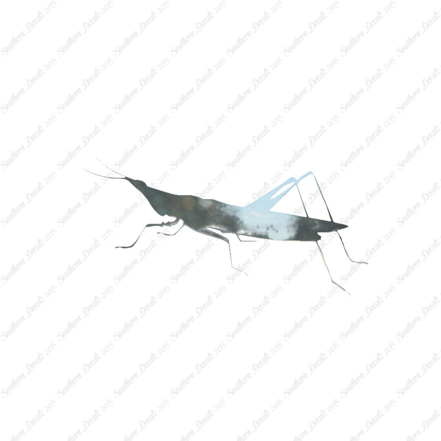 Grasshopper Insect