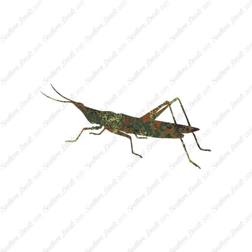 Grasshopper Insect