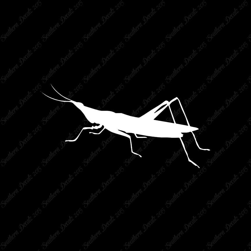 Grasshopper Insect