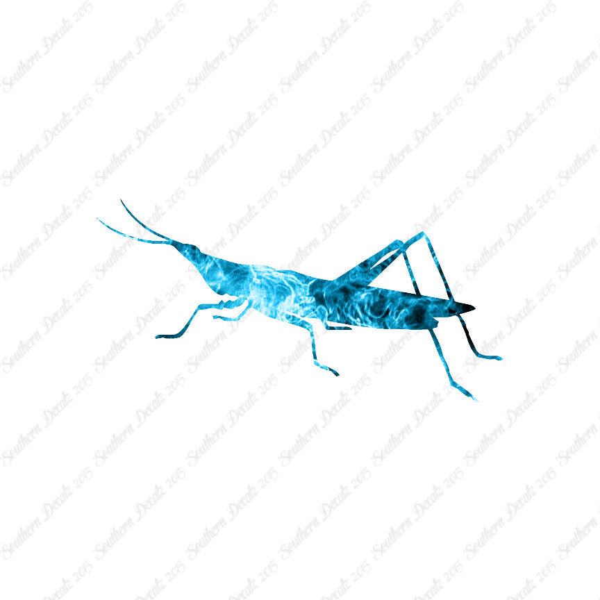 Grasshopper Insect