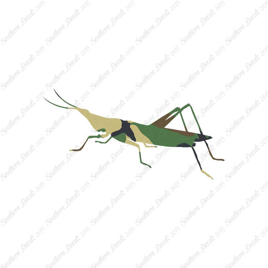 Grasshopper Insect
