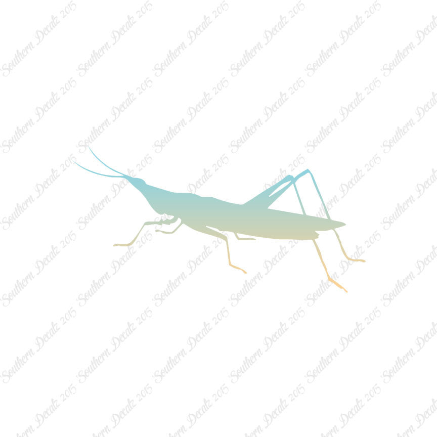 Grasshopper Insect