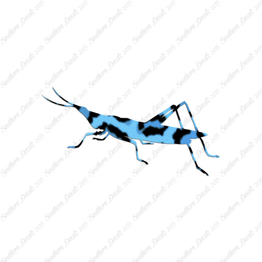 Grasshopper Insect