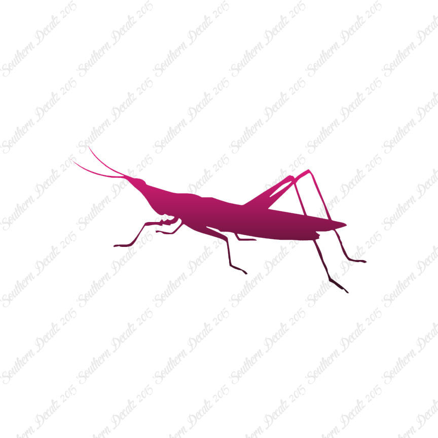 Grasshopper Insect
