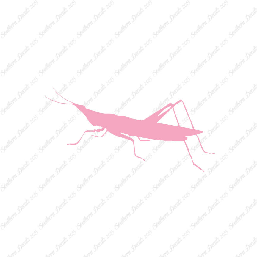 Grasshopper Insect