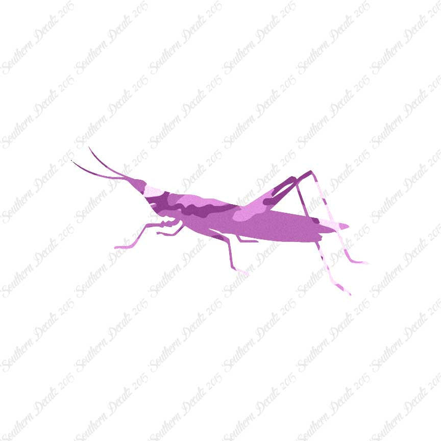 Grasshopper Insect