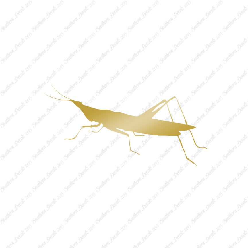 Grasshopper Insect
