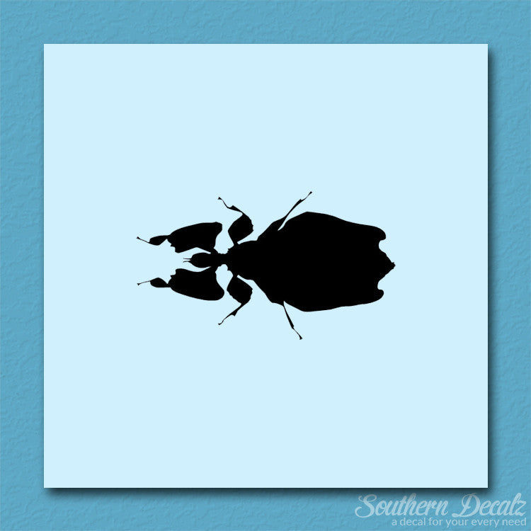 Dung Beetle Insect