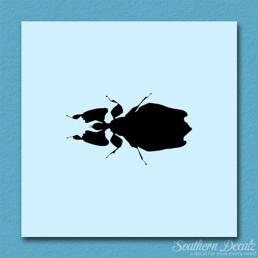 Dung Beetle Insect
