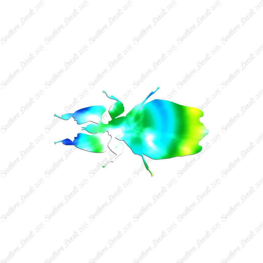 Dung Beetle Insect