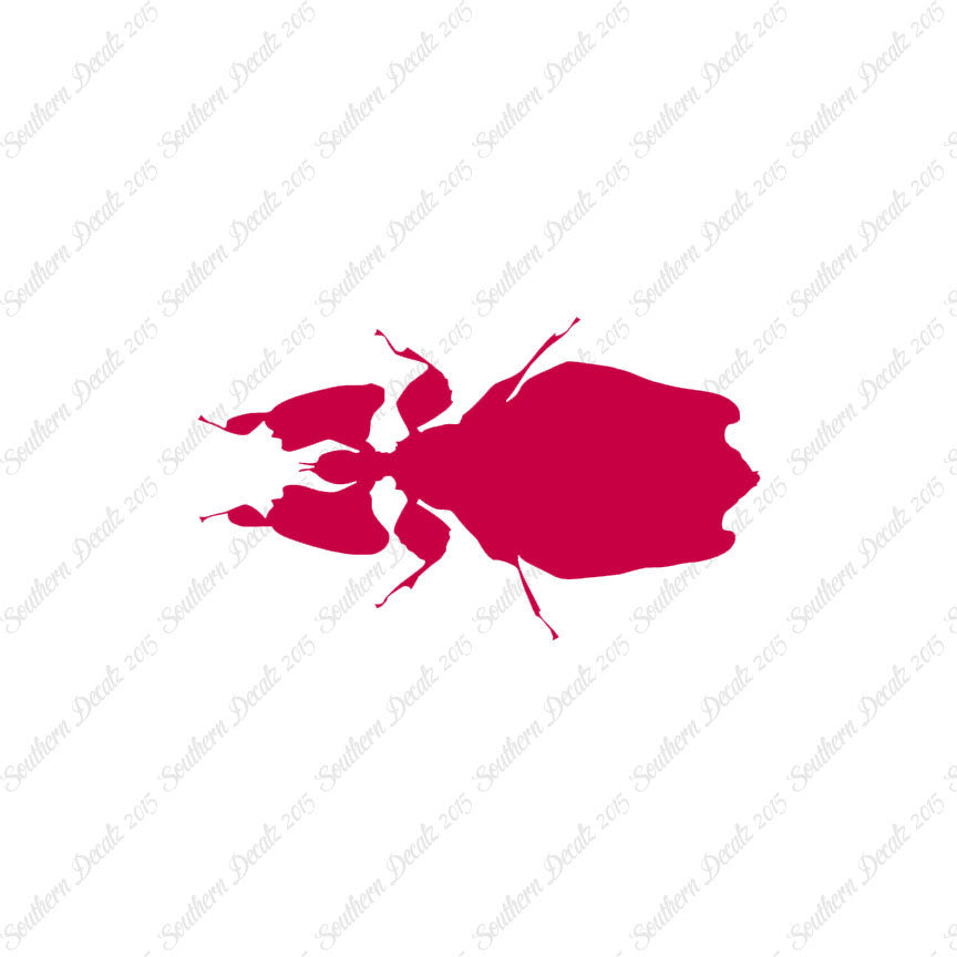 Dung Beetle Insect