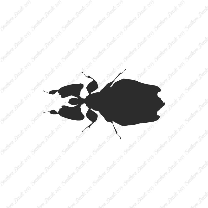 Dung Beetle Insect