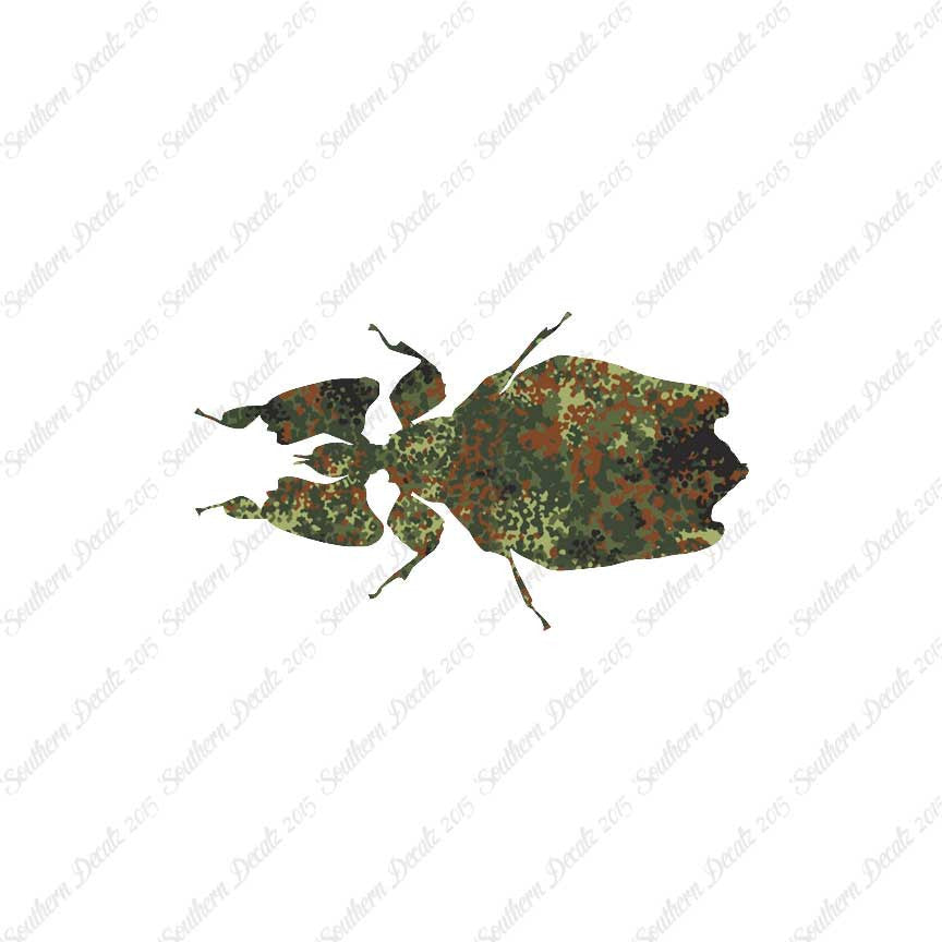 Dung Beetle Insect